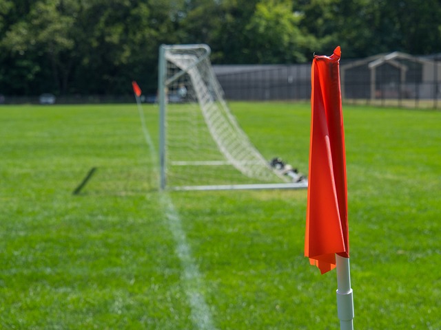 最终成功晋 最终成功晋