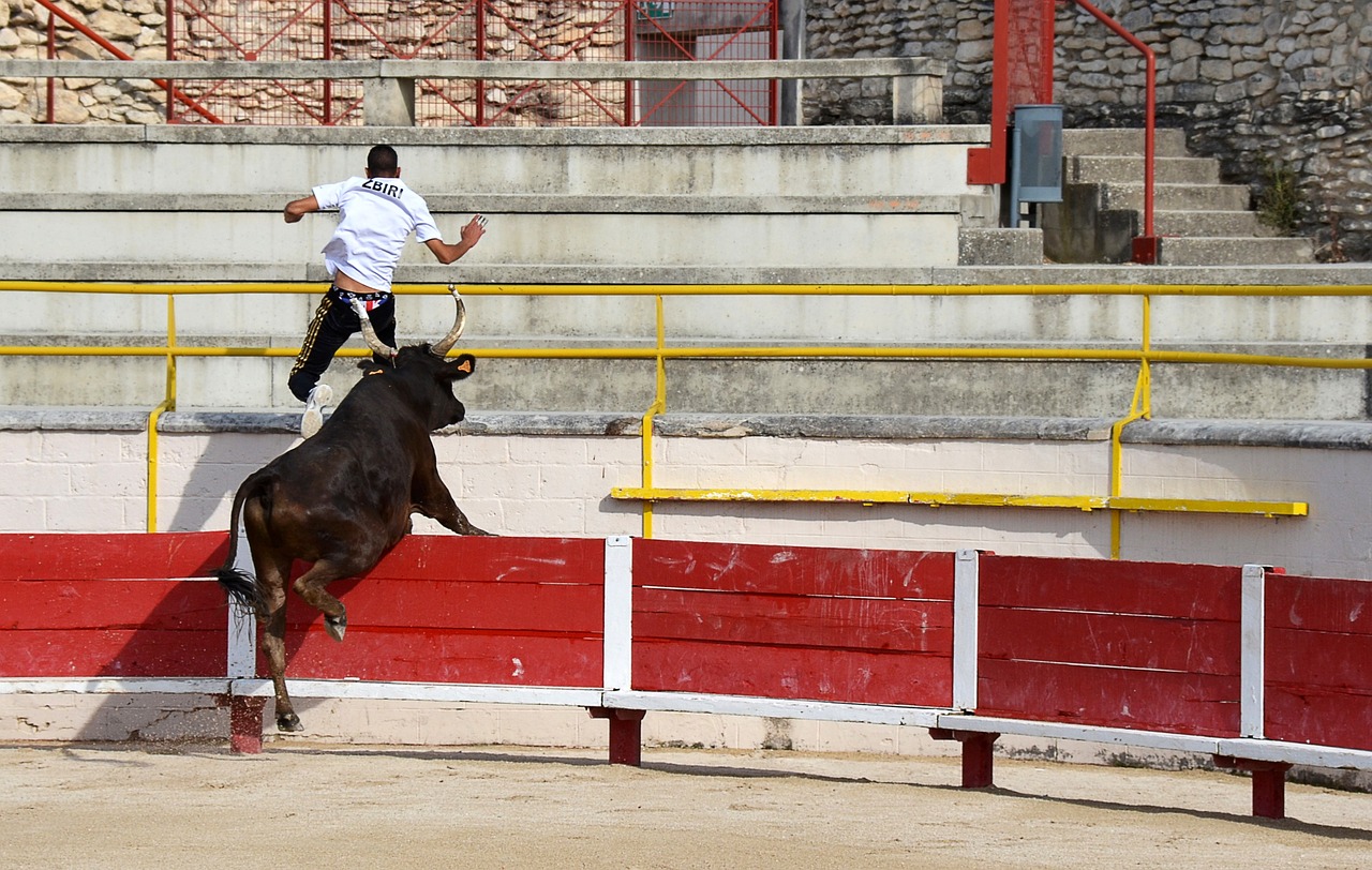 客分享道