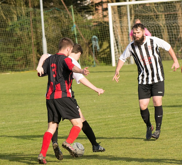 和高效的组 和高效的组