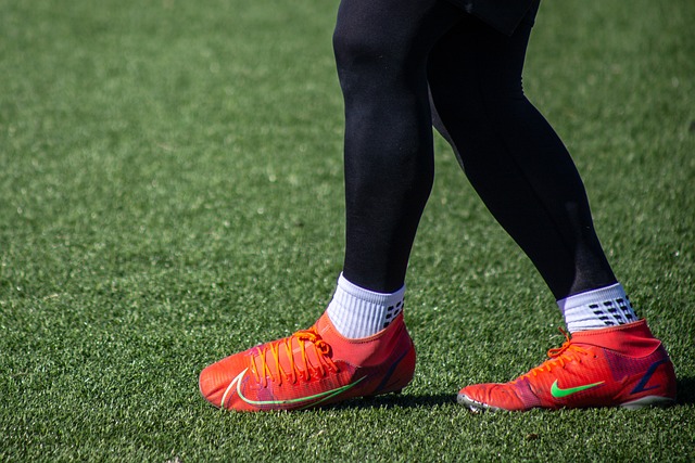 在今年夏天 在今年夏天