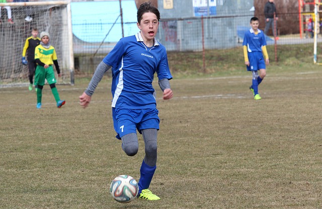 法替代的 法替代的