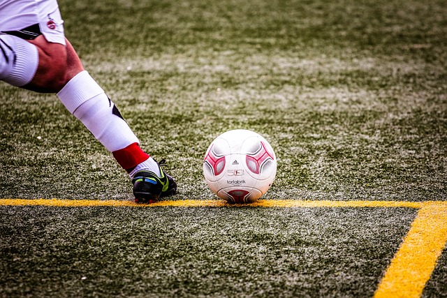 萧秉治携手 萧秉治携手