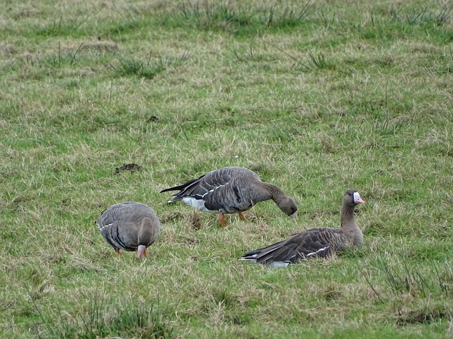 这种变动通 这种变动通