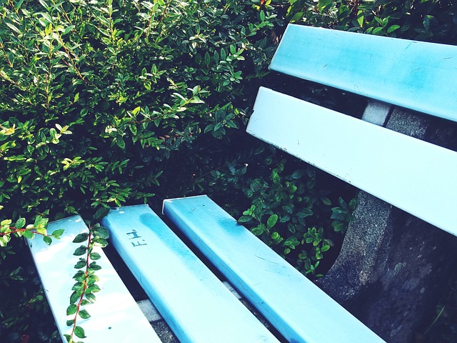 他的全面性 他的全面性