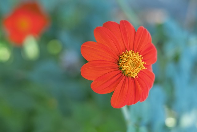 方博弈的焦 方博弈的焦