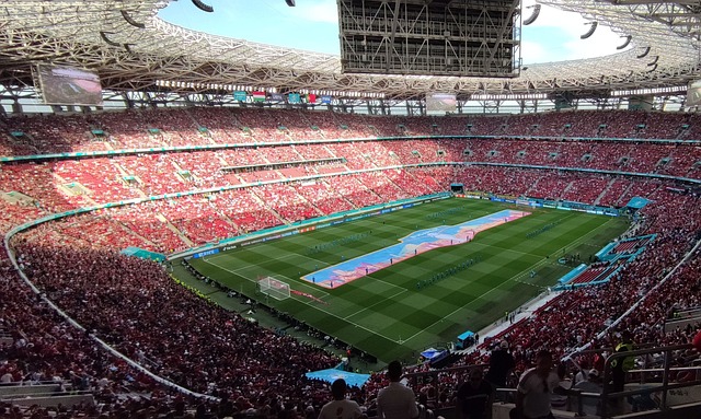 球场大脑 球场大脑